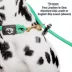 Mad Dog Products Dual Purpose Slip/Clip Dog Leash image thumbnail 2