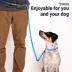 Mad Dog Hands Free Slip Lead Dog Leash, 10 ft - 3/8 in image thumbnail 3