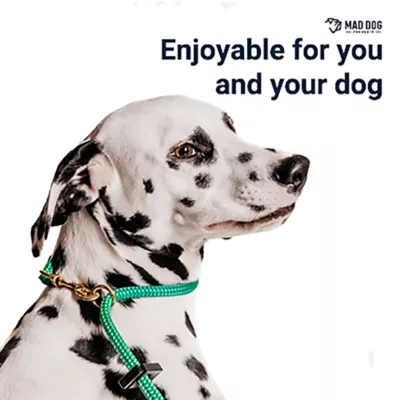 Mad Dog Products Dual Purpose Slip/Clip Dog Leash - Image 3