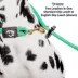 Mad Dog Products Dual Purpose Slip/Clip Dog Leash image thumbnail 2
