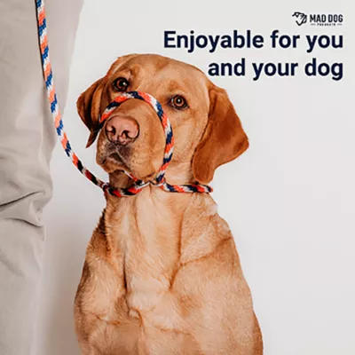 Mad Dog Products Easy Leader, English Slip Lead Dog Leash, 6 ft x 1/4 in - Image 2