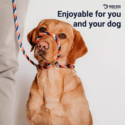 Product Mad Dog Products Easy Leader, English Slip Lead Dog Leash, 6 FT x 3/8 IN