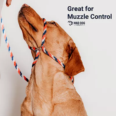 Product Mad Dog Products Easy Leader, English Slip Lead Dog Leash, 6 FT x 3/8 IN