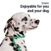 Mad Dog Products Dual Purpose Slip/Clip Dog Leash image thumbnail 3