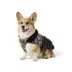 Arcadia Trail® Adjustable Insulated Coat image thumbnail 1