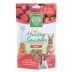 Small Pet Select Healthy Snackers - Apple image thumbnail 1