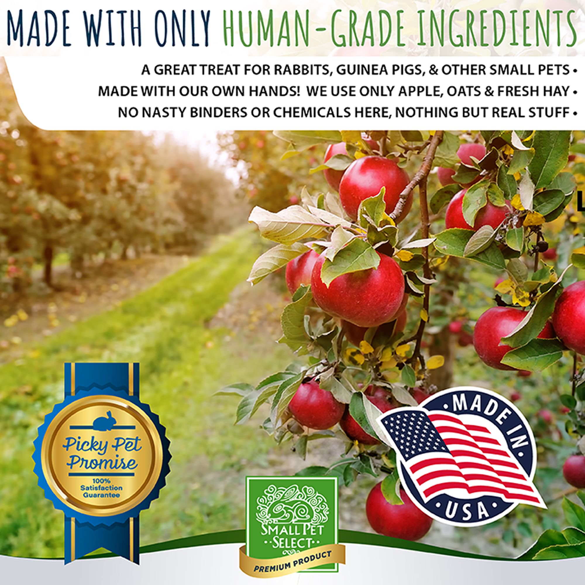 Small Pet Select Healthy Snackers - Apple - thumbnail 3
