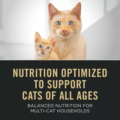 Product Purina Pro Plan Cat - All Life Stages, Pate, Variety Pack, 24 CT, 72 OZ