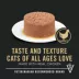 Purina Pro Plan All Life Stages Wet Cat Food - Classic, 3 Oz image thumbnail 2
