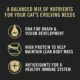 Product Purina Pro Plan Cat - All Life Stages, Pate, Salmon, 3 OZ