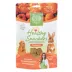 Small Pet Select Healthy Snackers Small Pet Treats 2 oz image thumbnail 1