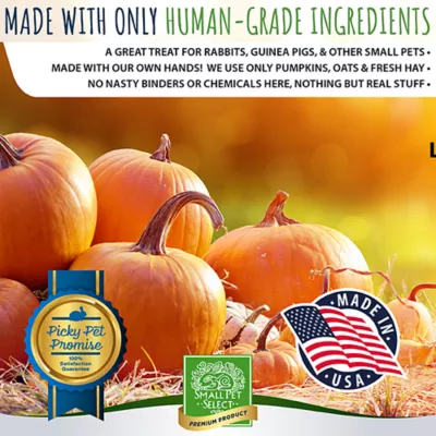 Small Pet Select Healthy Snackers Small Pet Treats 2 oz - Image 3