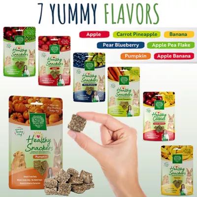 Small Pet Select Healthy Snackers Small Pet Treats 2 oz - Image 7