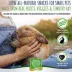Small Pet Select Healthy Snackers Small Pet Treats 2 oz image thumbnail 2