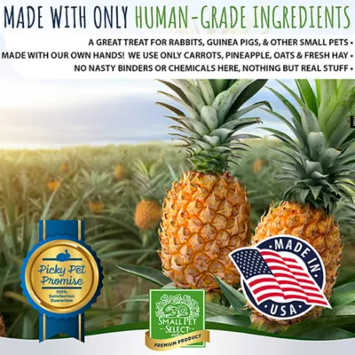 Small Pet Select Healthy Snackers Small Pet Treats 2 oz - Image 3