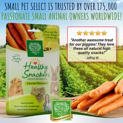 Small Pet Select Healthy Snackers Small Pet Treats 2 oz - Image 6