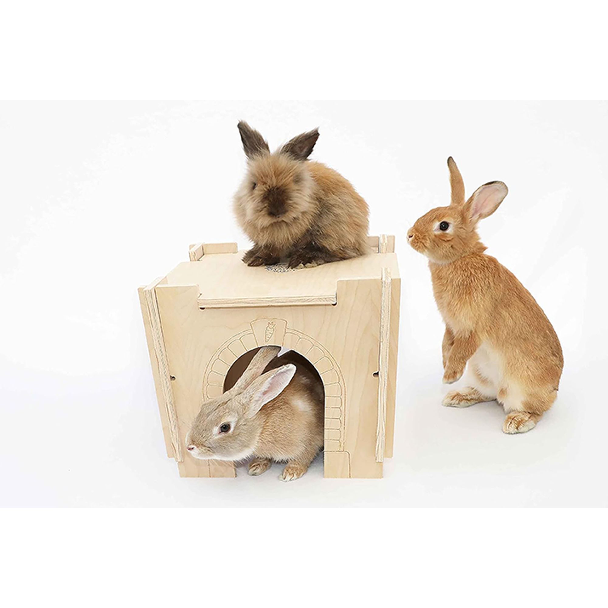 Small Pet Select Habitat Hideout - Castle Small Pet Hideout - thumbnail 8