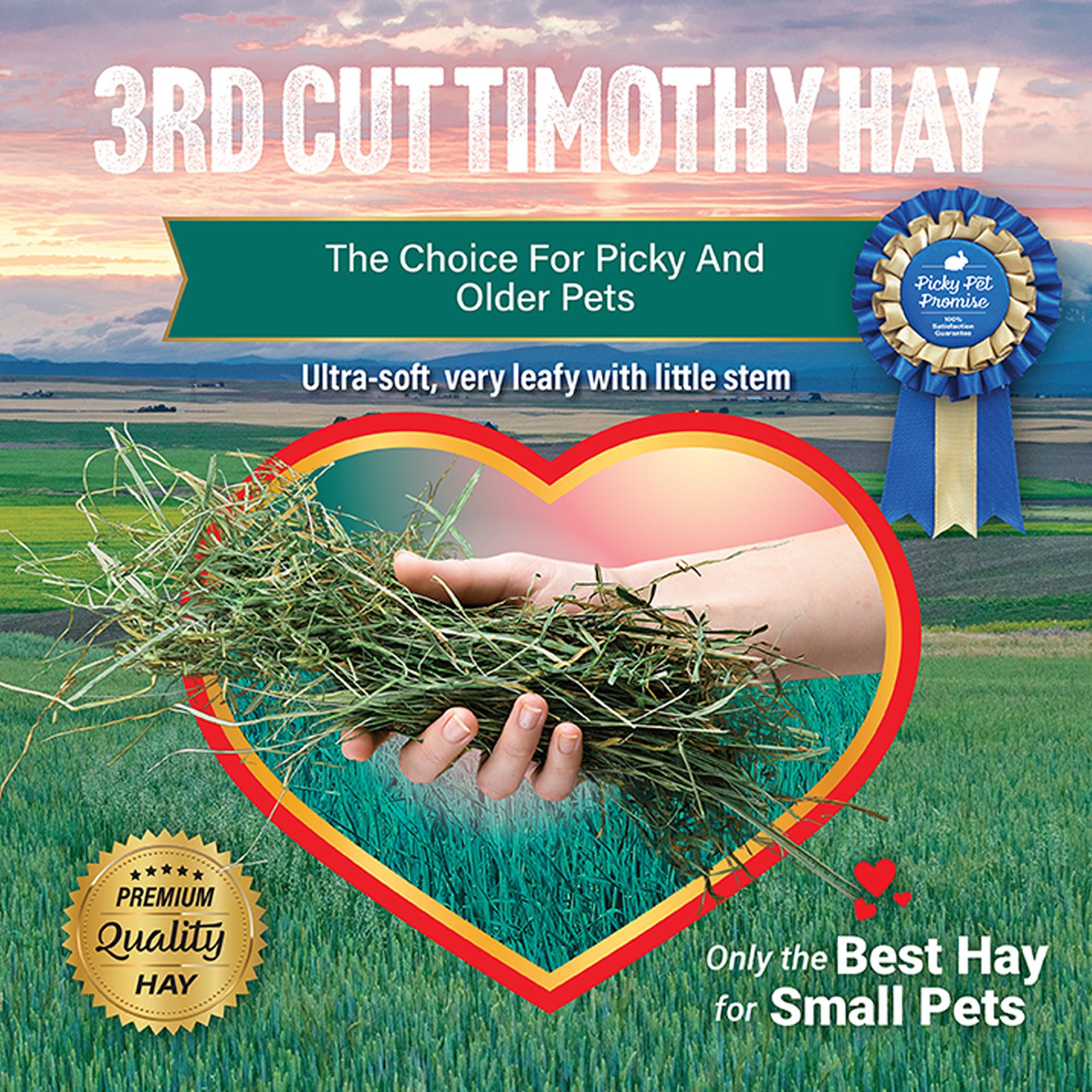 Small Pet Select 3rd Cutting Timothy Hay - Rabbit & Guinea Pig Food - thumbnail 5