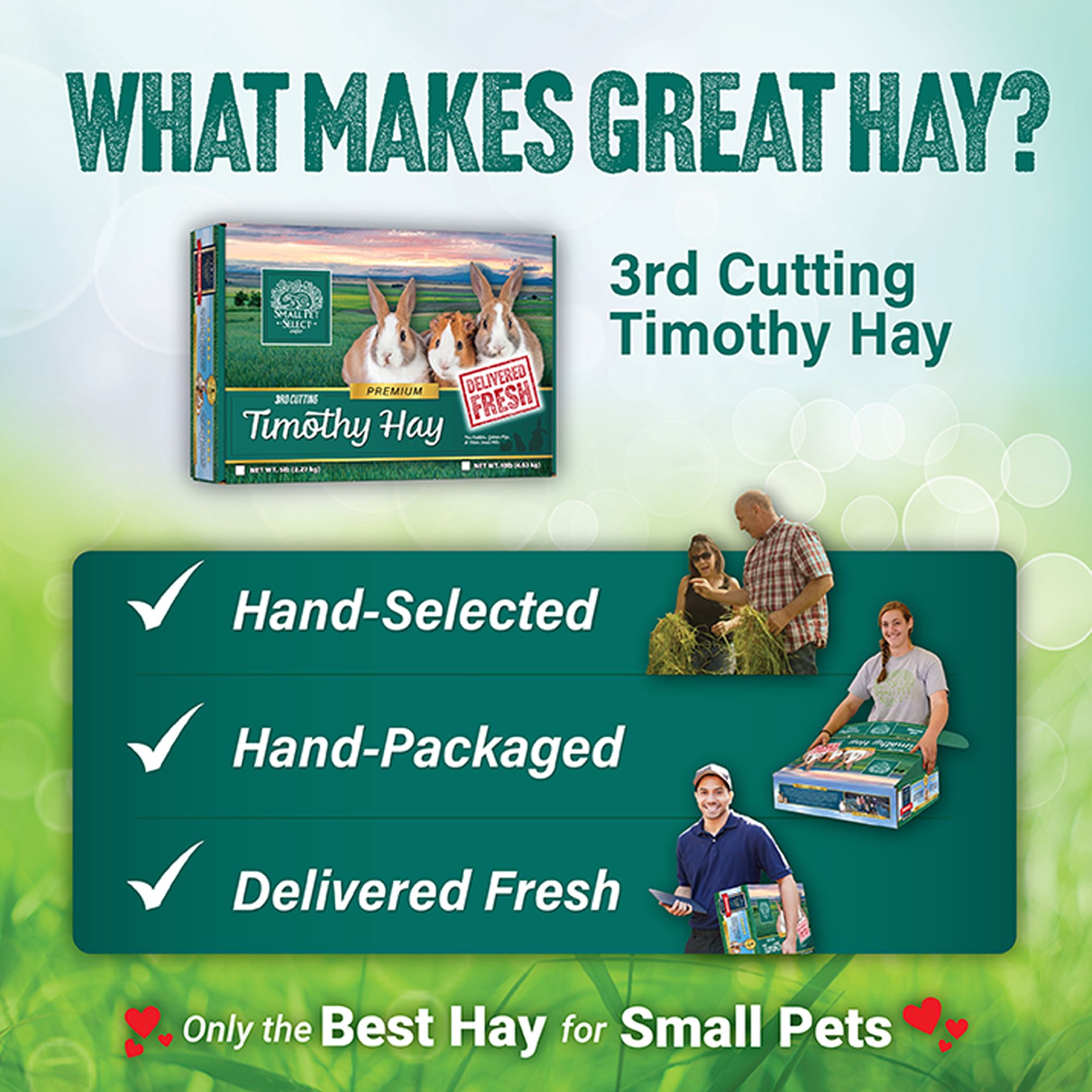 Small Pet Select 3rd Cutting Timothy Hay - Rabbit & Guinea Pig Food - thumbnail 6