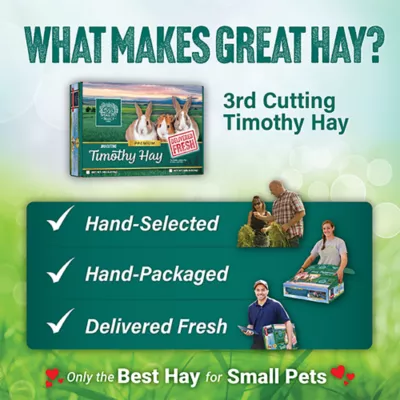 Product Small Pet Select 3rd Cutting Timothy Small Pet Hay