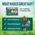 Small Pet Select 3rd Cutting Timothy Small Pet Hay image thumbnail 6
