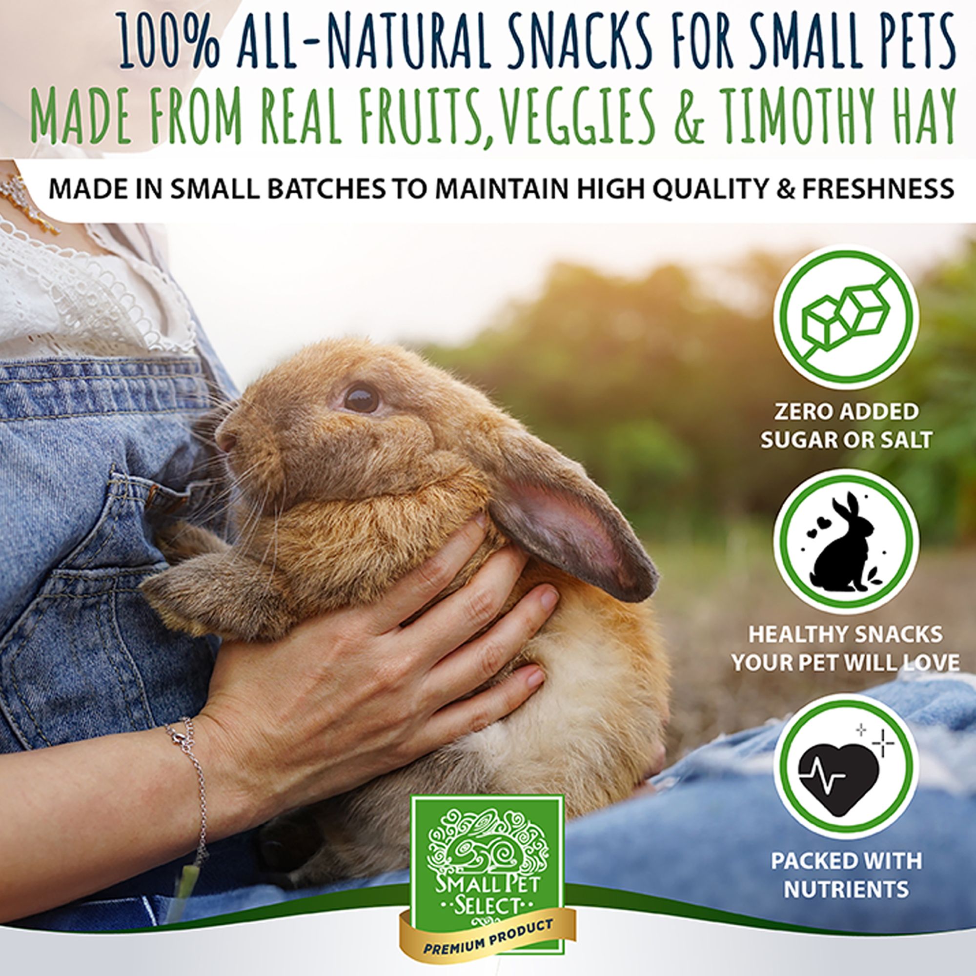 Small Pet SelectHealthy Snackers Mini Cookies Small Pet Treats - thumbnail 2