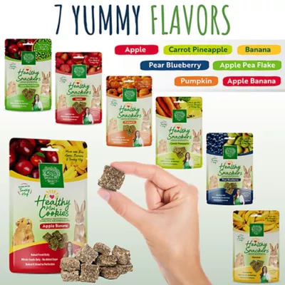 Product Small Pet SelectHealthy Snackers Mini Cookies Small Pet Treats