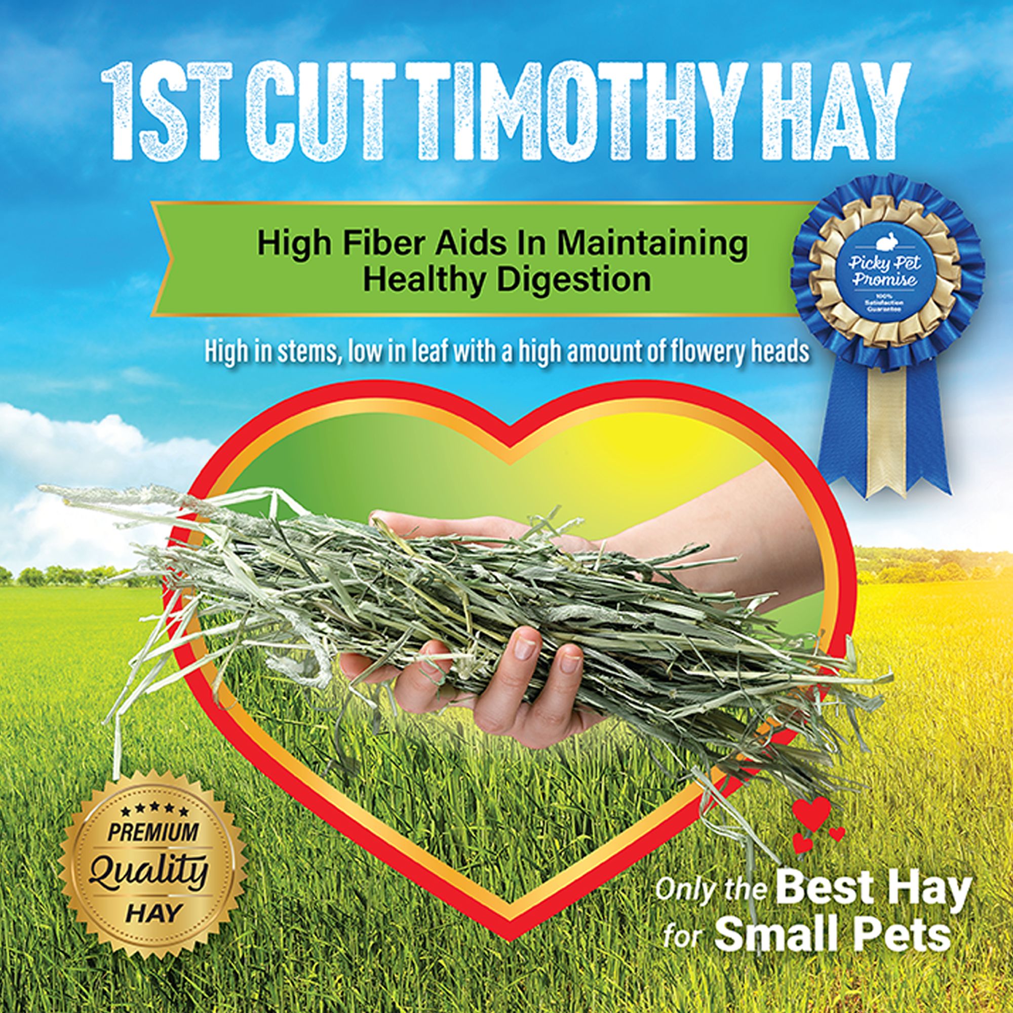 Small Pet Select 1st Cut Timothy Hay - Rabbit & Guinea Pig Food - thumbnail 5