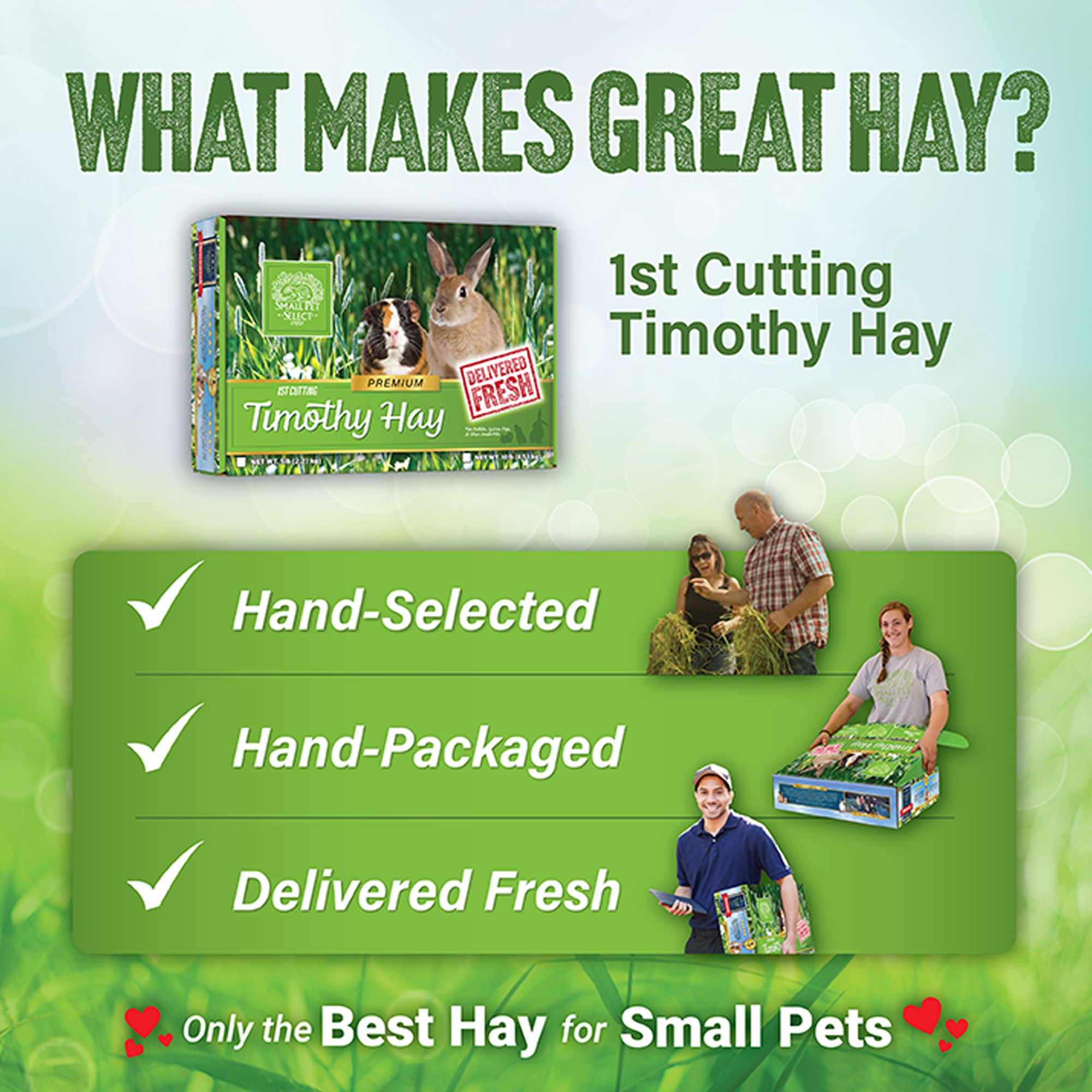 Small Pet Select 1st Cut Timothy Hay - Rabbit & Guinea Pig Food - thumbnail 6