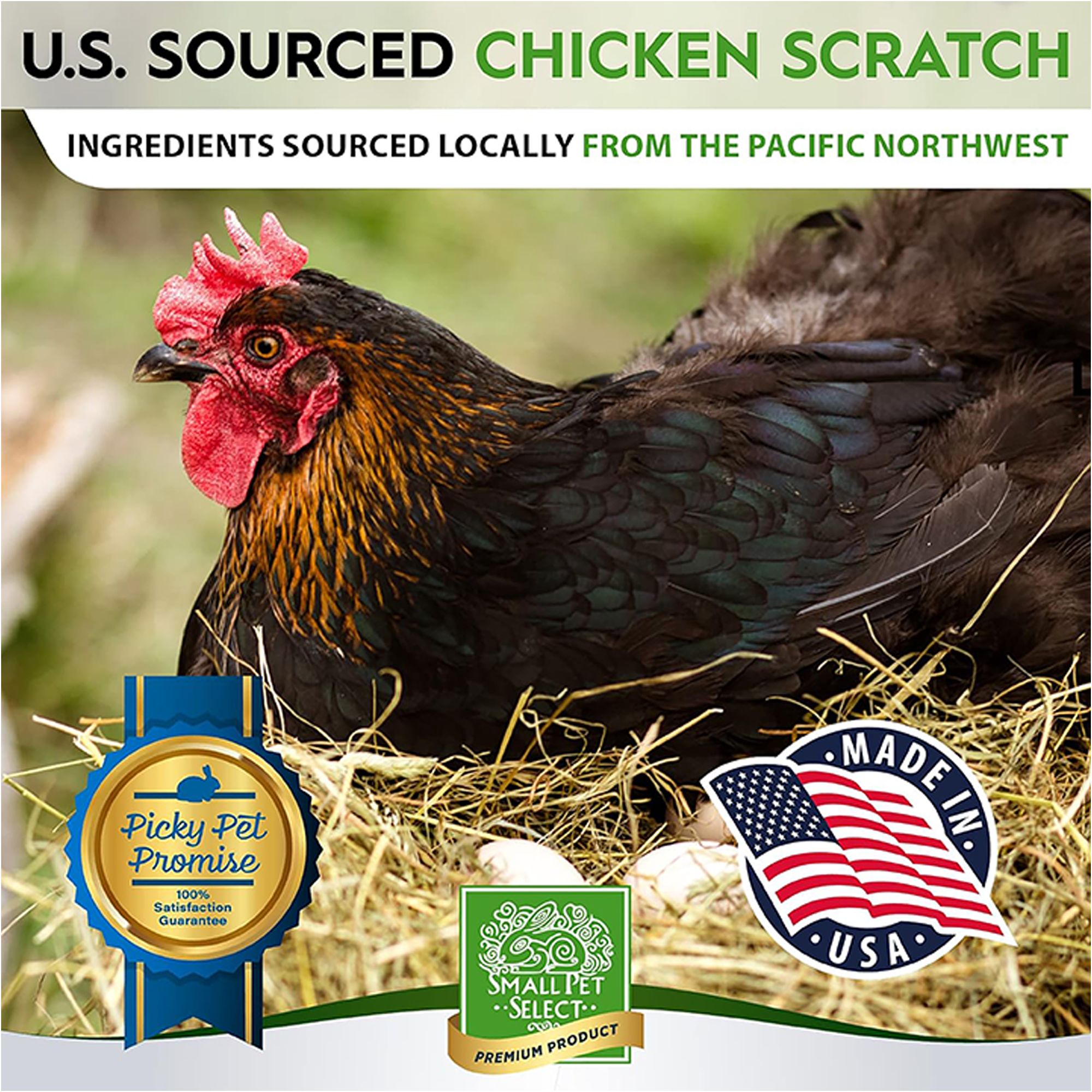Small Pet Select Sustainable Chicken Scratch - thumbnail 6