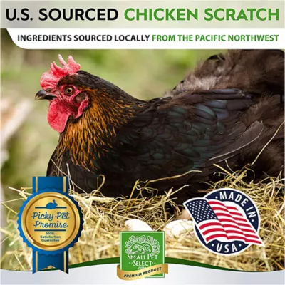 Product Small Pet Select Sustainable Chicken Scratch