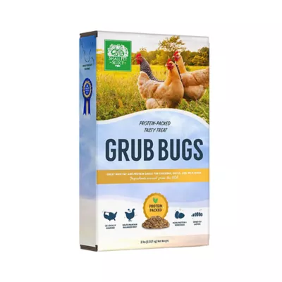 Product Small Pet Select Grub Bugs, Black Soldier Fly Larvae