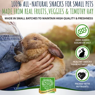 Product Small Pet Select Healthy Snackers Small Pet Treats 2 oz