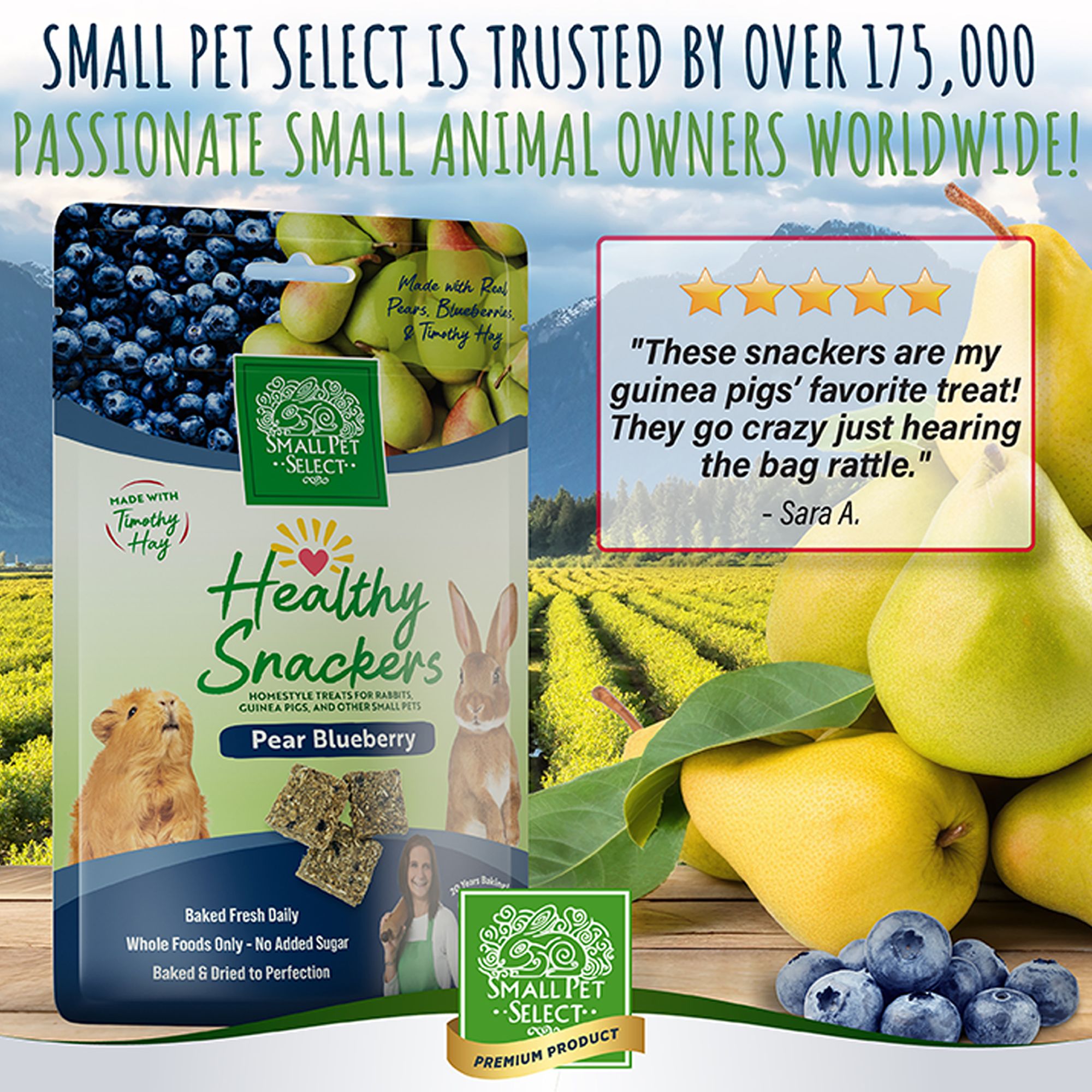 Small Pet Select Healthy Snackers Small Pet Treats 2 oz - thumbnail 6