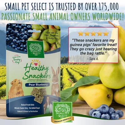 Product Small Pet Select Healthy Snackers Small Pet Treats 2 oz