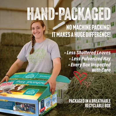 Product Small Pet Select Orchard Hay