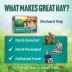 Small Pet Select Orchard Hay image thumbnail 6