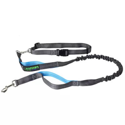 Jespet Reflective Dog Leash - Image 1