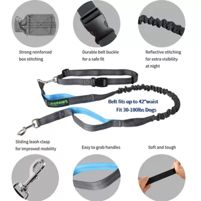 Jespet Reflective Dog Leash - Image 2