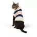 Top Paw® Fall Sweater image thumbnail 2