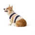 Top Paw® Fall Sweater image thumbnail 1
