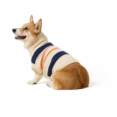 Top Paw® Fall Sweater - Image 1