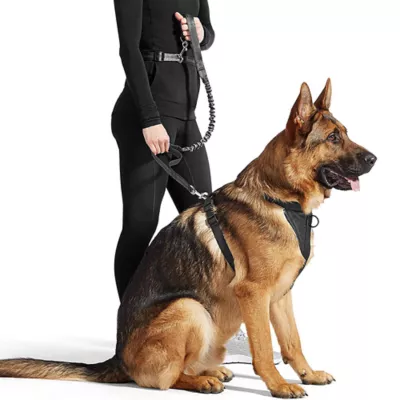 Product Jespet Reflective Dog Leash