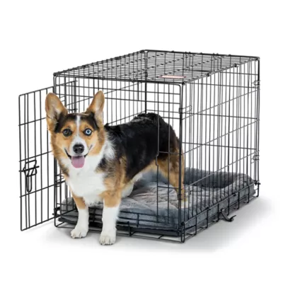 Top Paw® Single Door Folding Wire Dog Crate - Leak Prof Tray; Metal, Collapsible, X-Small - XX Large - Image 2