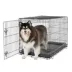 Top Paw® Single Door Folding Wire Dog Crate - Leak Prof Tray; Metal, Collapsible, X-Small - XX Large image thumbnail 2