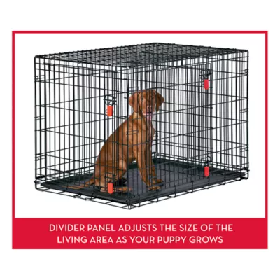KONG® Ultra-Strong & Durable Double Door Wire Dog Crate w/ Divider Panel - Small, Medium, Large, X-L - Image 5