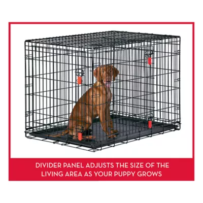 KONG® Ultra-Strong & Durable Double Door Wire Dog Crate w/ Divider Panel - Small, Medium, Large, X-L - Image 5