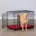 KONG® Ultra-Strong & Durable Double Door Wire Dog Crate w/ Divider Panel - Small, Medium, Large, X-L image thumbnail 1