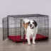 KONG® Ultra-Strong & Durable Double Door Wire Dog Crate w/ Divider Panel - Small, Medium, Large, X-L image thumbnail 1