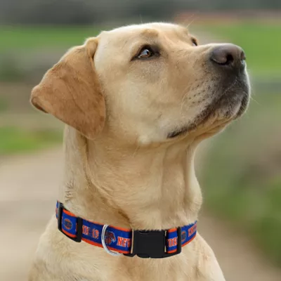 Pets First New York Knicks Satin Collar - Image 4